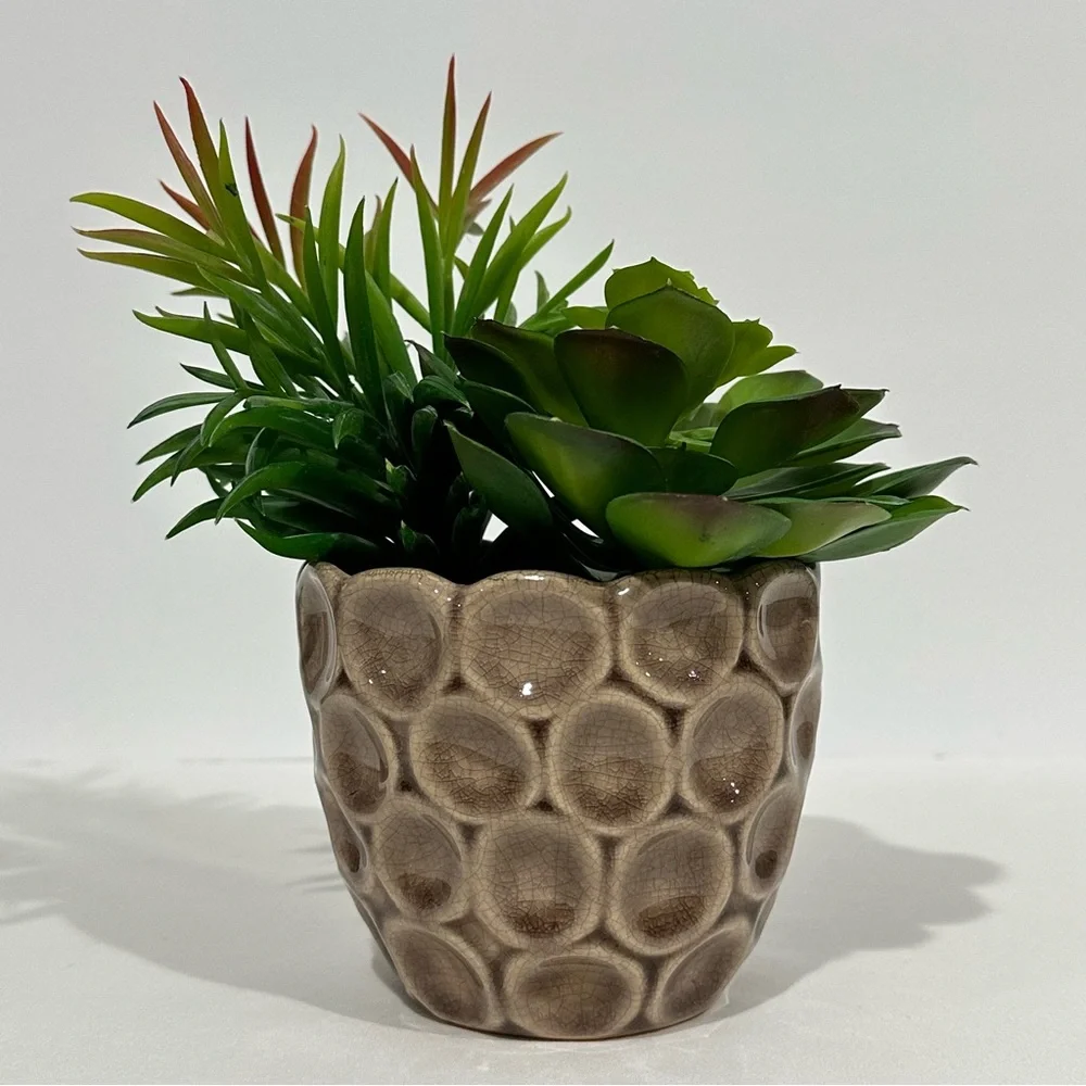 Ceramic Potted Faux Succulents Artificial Plant Decor